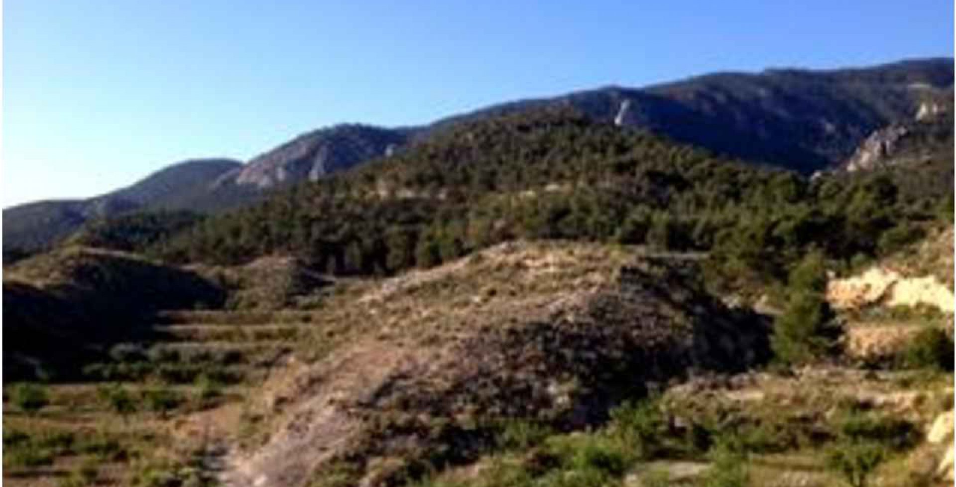 For Sale -  - Ricote