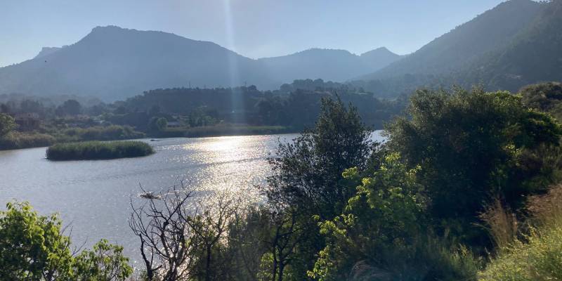 Alerta a todos los fans del Valle de Ricote - ¡El Sol está de vuelta con nosotros!