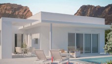 designed villa with garden