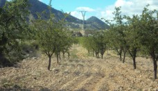Venta - Casa de Campo - Blanca