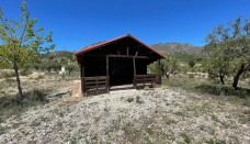 Venta - Casa de Campo - Ricote