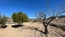 New Build - Country House - Ricote