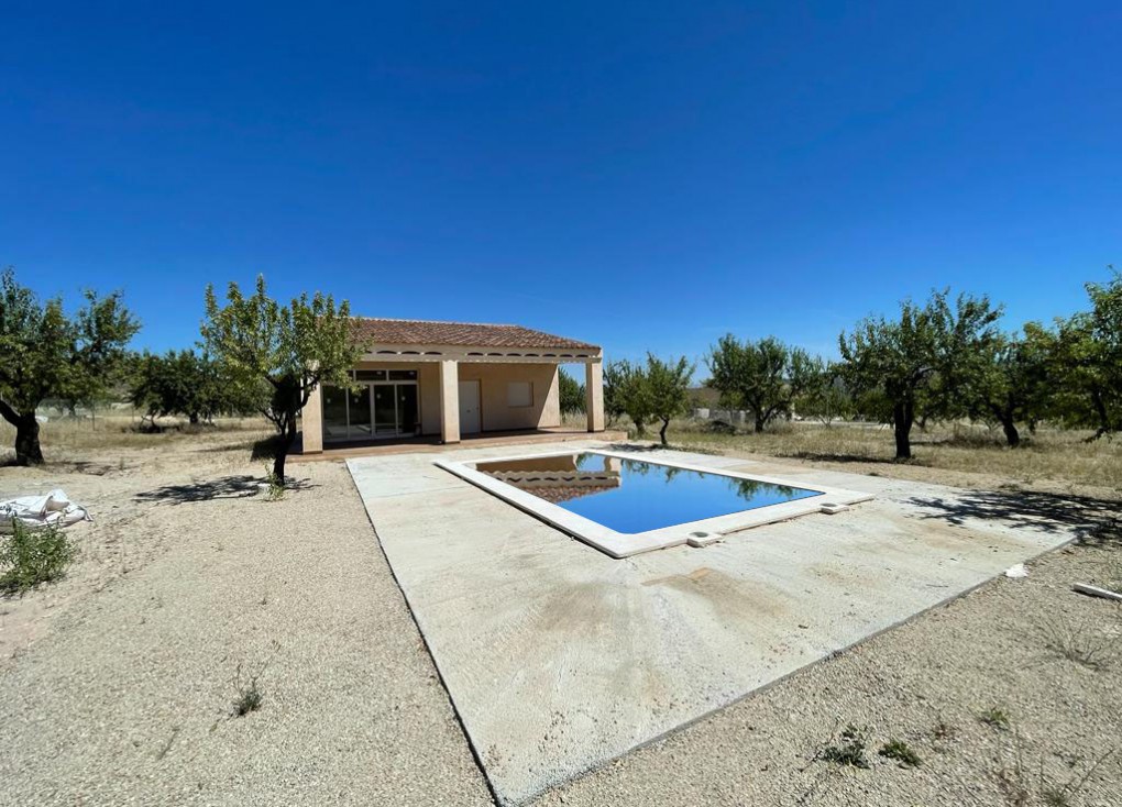 Country House - New Build - Ricote - Ricote