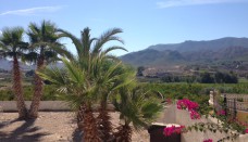 Venta - Casa de Campo - Cieza