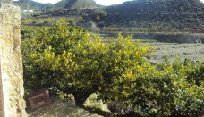 Venta - Casa de Campo - Blanca