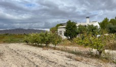 For Sale - Country House - Cieza
