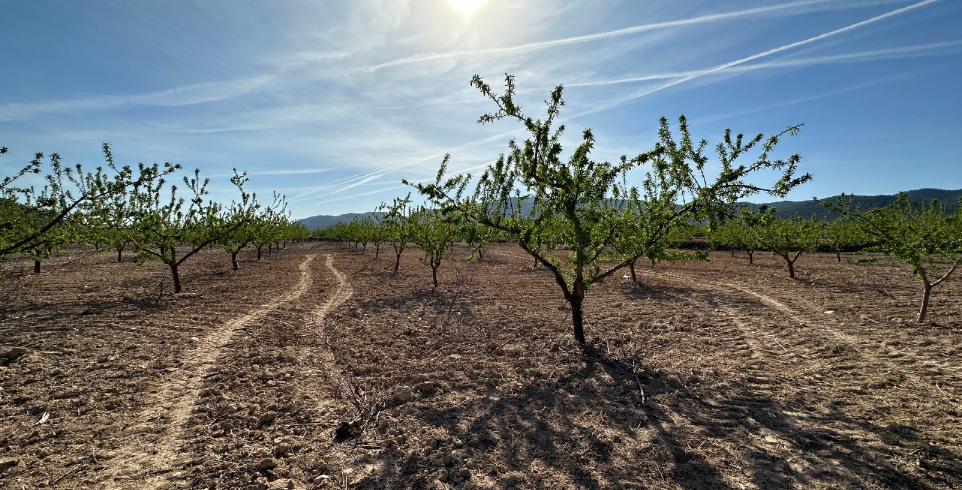 For Sale - Building & Land Plots - Ricote