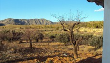 Venta - Casa de Campo - Ricote