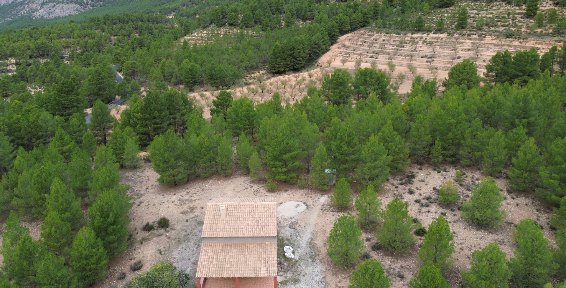 For Sale - Country House - Nerpio - Nerpio 
