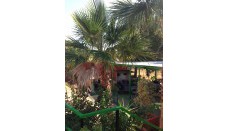 Venta - Casa de Campo - Fortuna