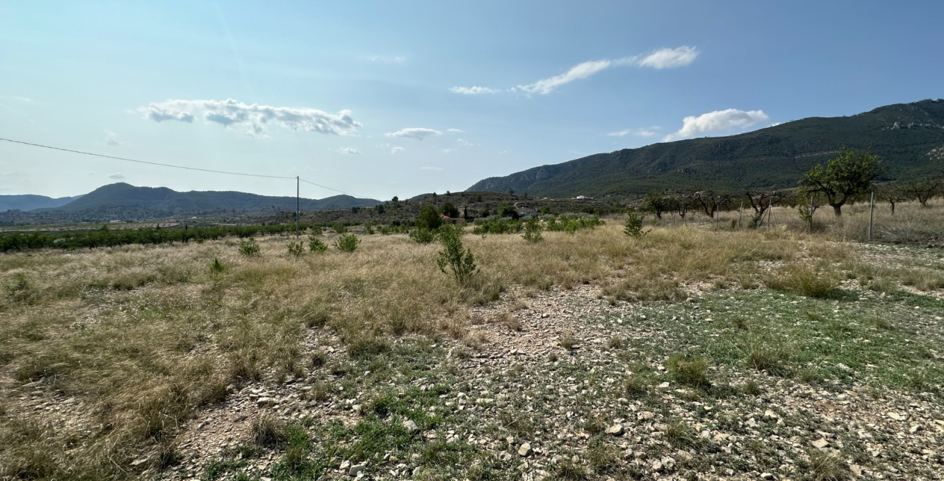 À vendre - Terrains à bâtir  - Ricote