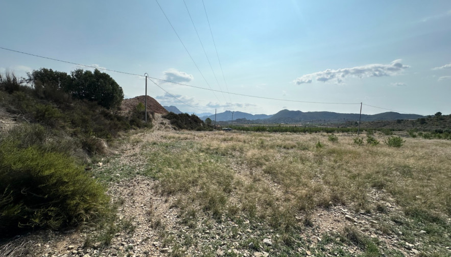 Building Plots - For Sale - Ricote - Ricote