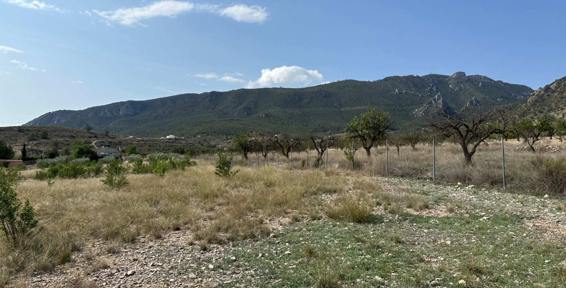 À vendre - Terrains à bâtir  - Ricote