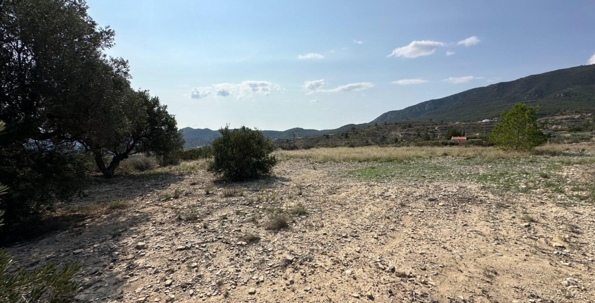 À vendre - Terrains à bâtir  - Ricote