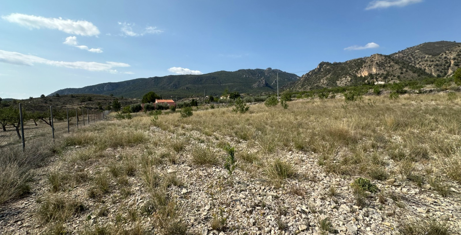 For Sale - Building & Land Plots - Ricote