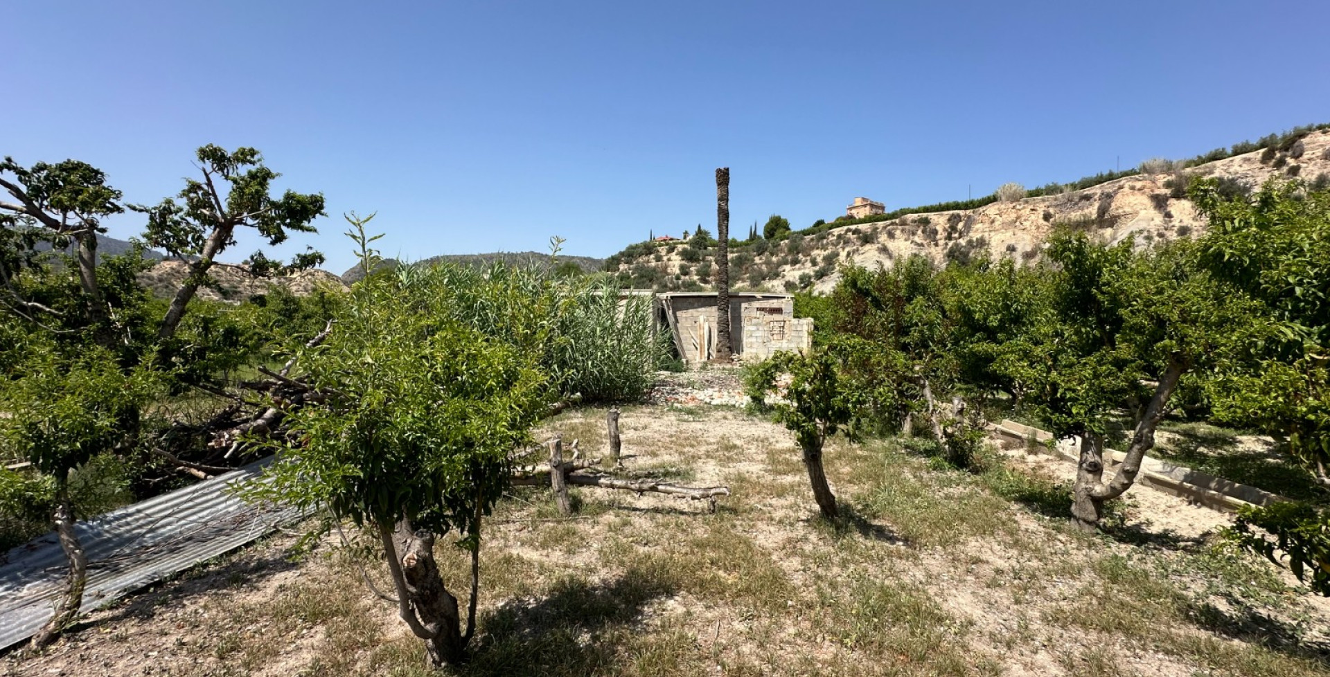 À vendre - Terrains - Abaran