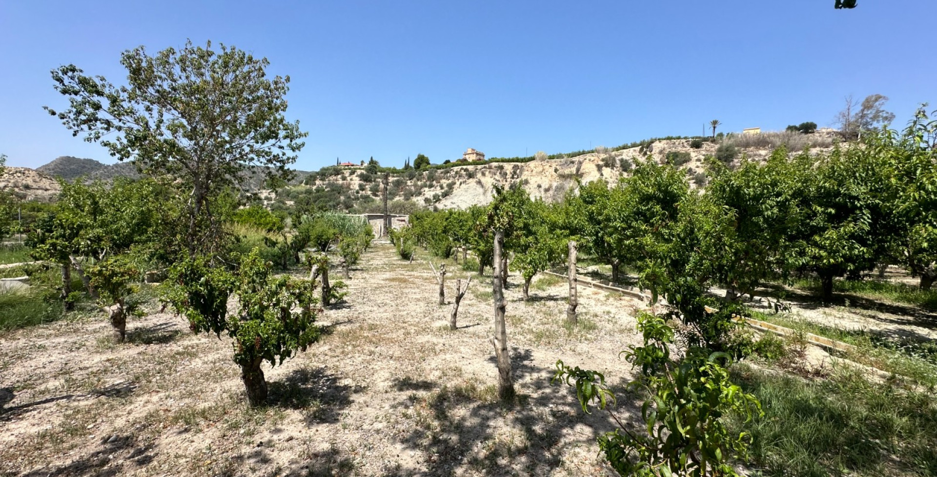 À vendre - Terrains - Abaran