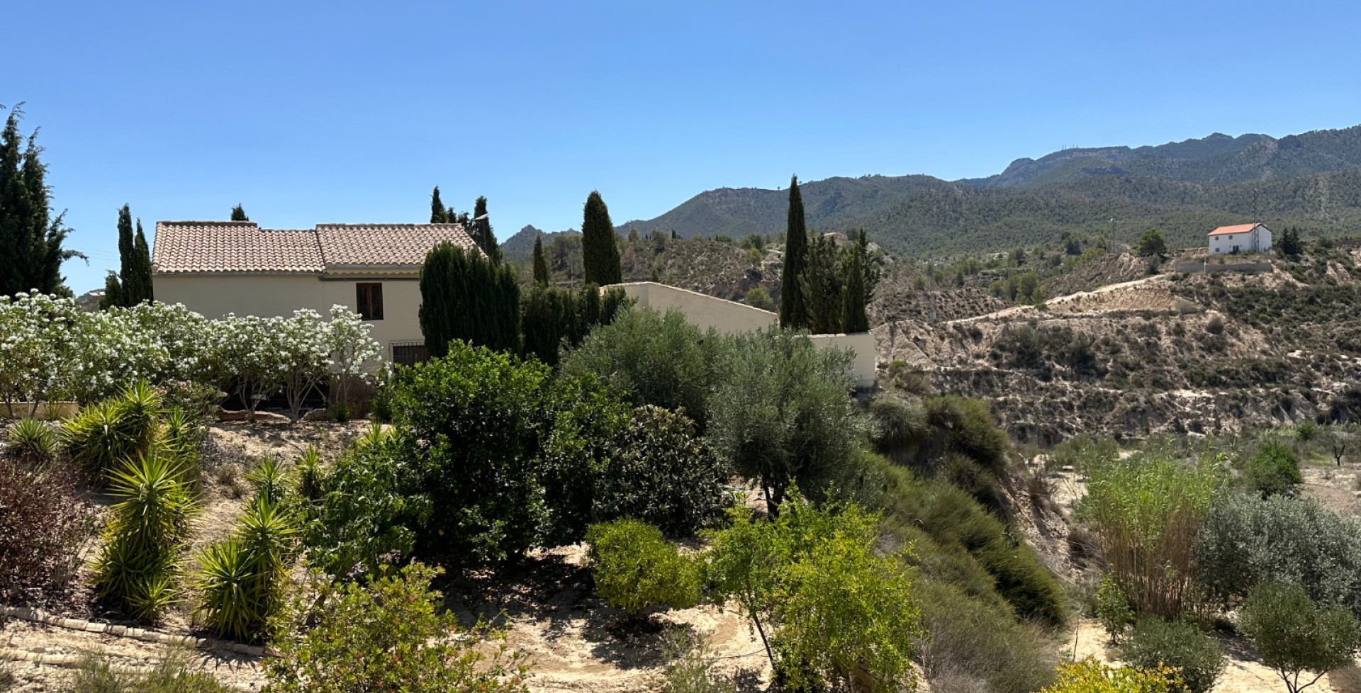 Venta - Casa de Campo - Ricote