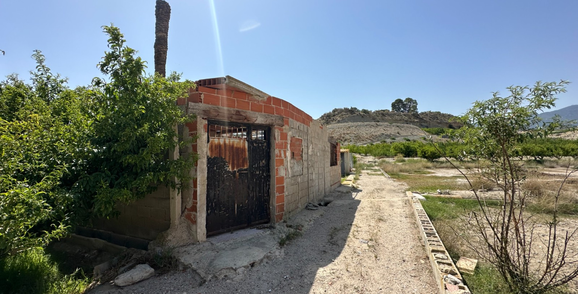 Venta - Parcelas edificables y terrenos - Abaran