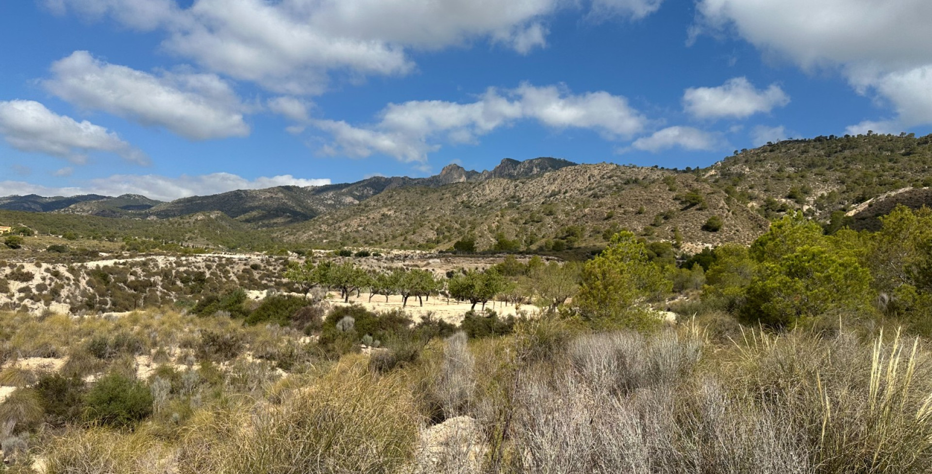 Venta - Casa de Campo - Ojós