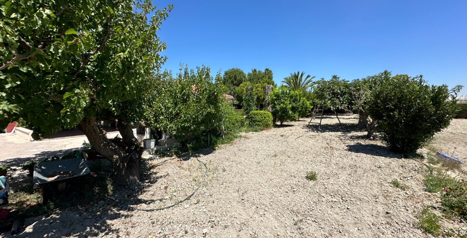 À vendre - Maison de campagne - Cieza