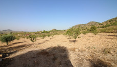 Building Plots - For Sale - Ricote - 2333