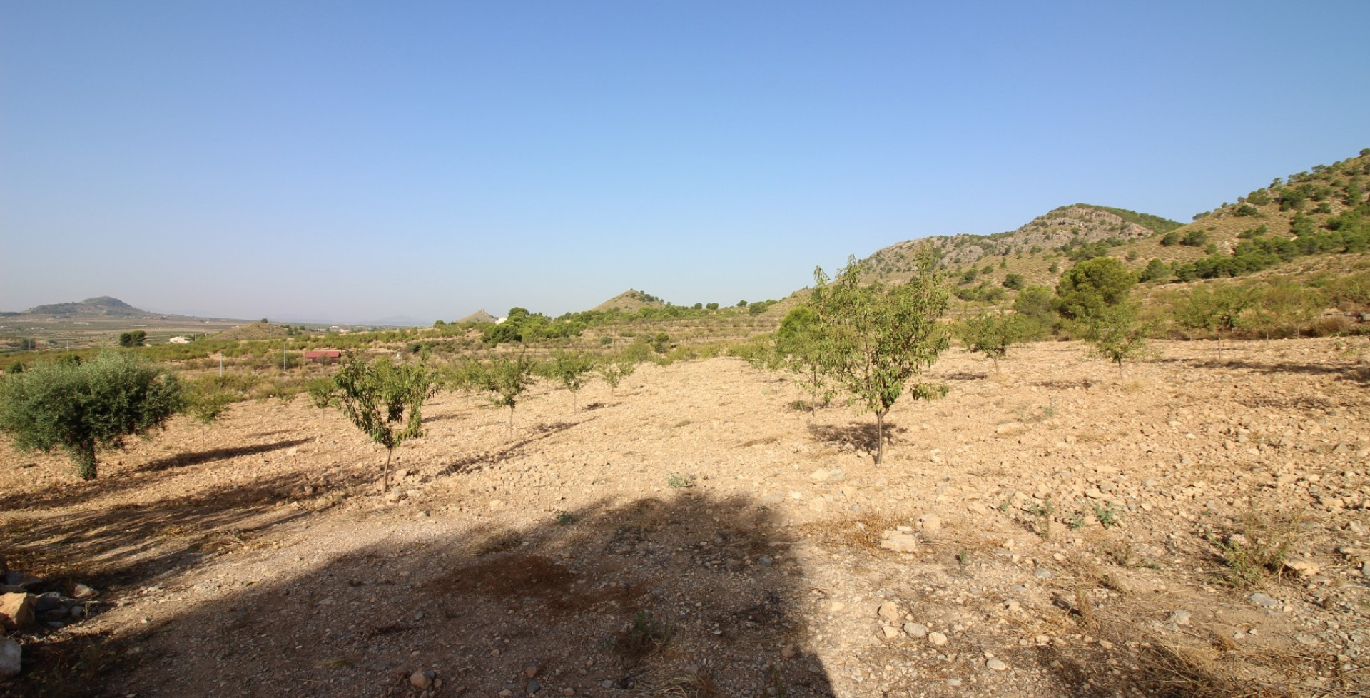 For Sale - Building Plots - Ricote