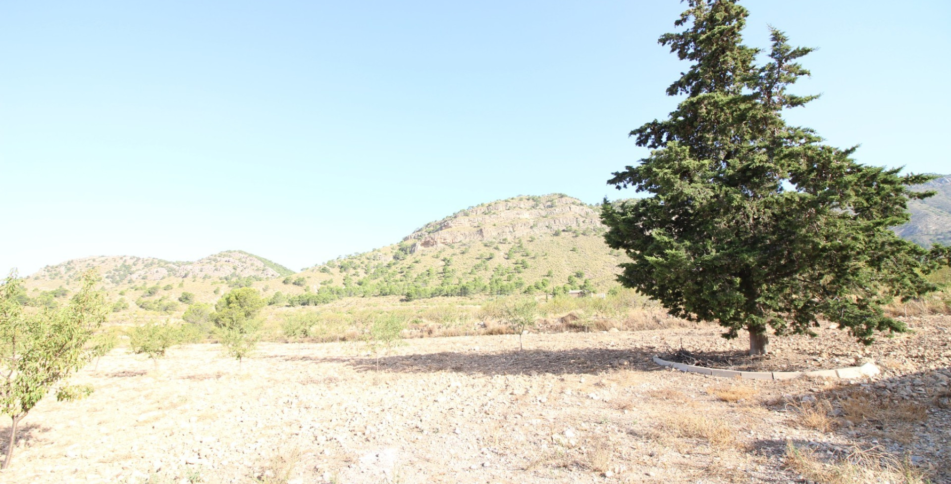 For Sale - Building Plots - Ricote