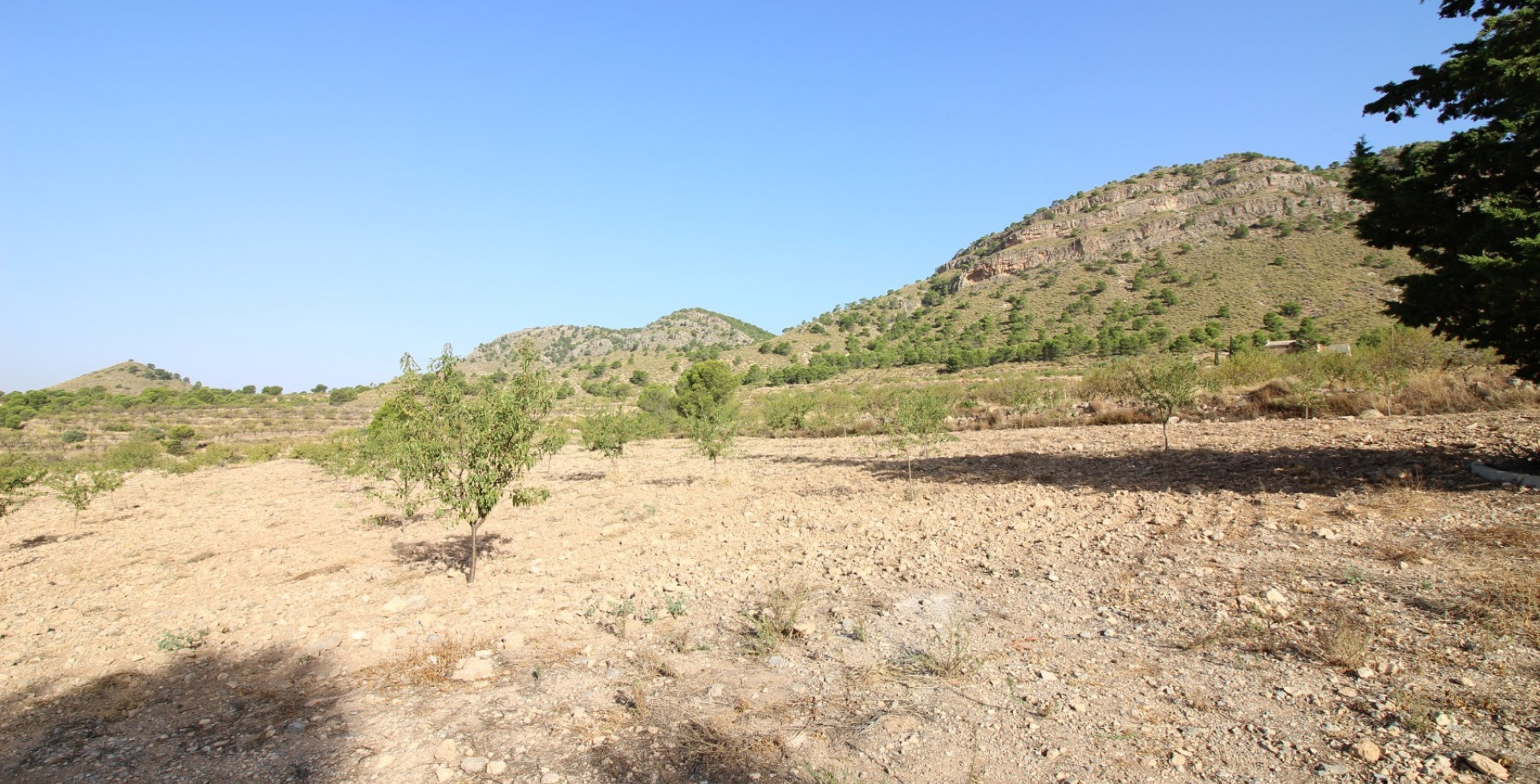 For Sale - Building Plots - Ricote