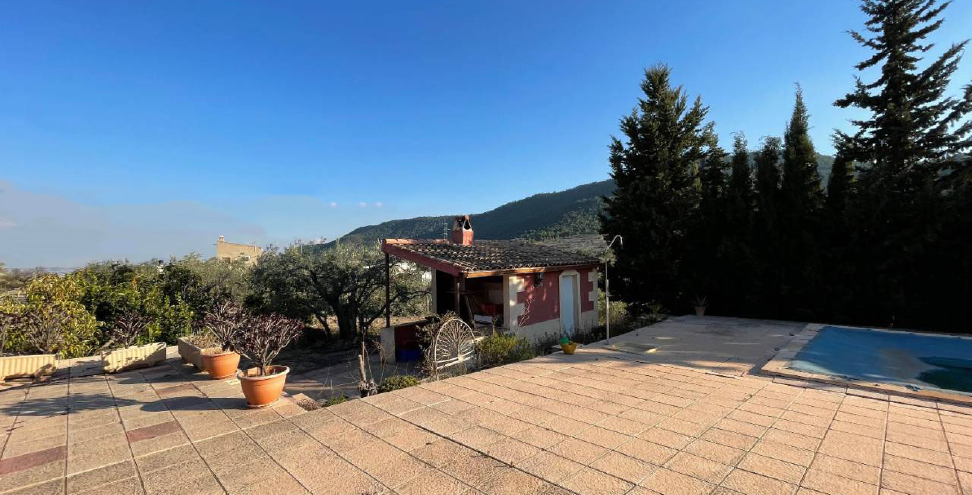 For Sale - Country House - Ojós - Ojos