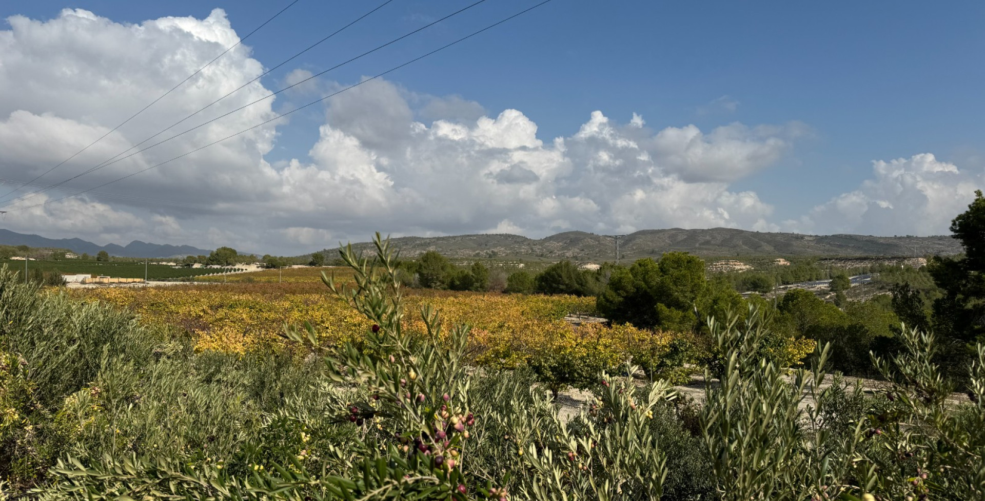 Venta - Casa de Campo - Cieza