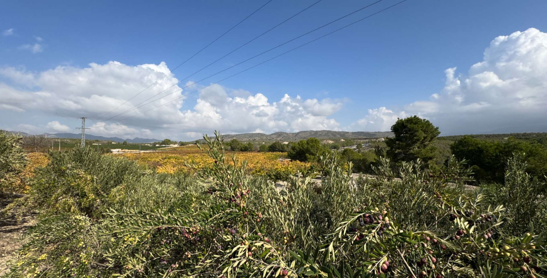 Venta - Casa de Campo - Cieza