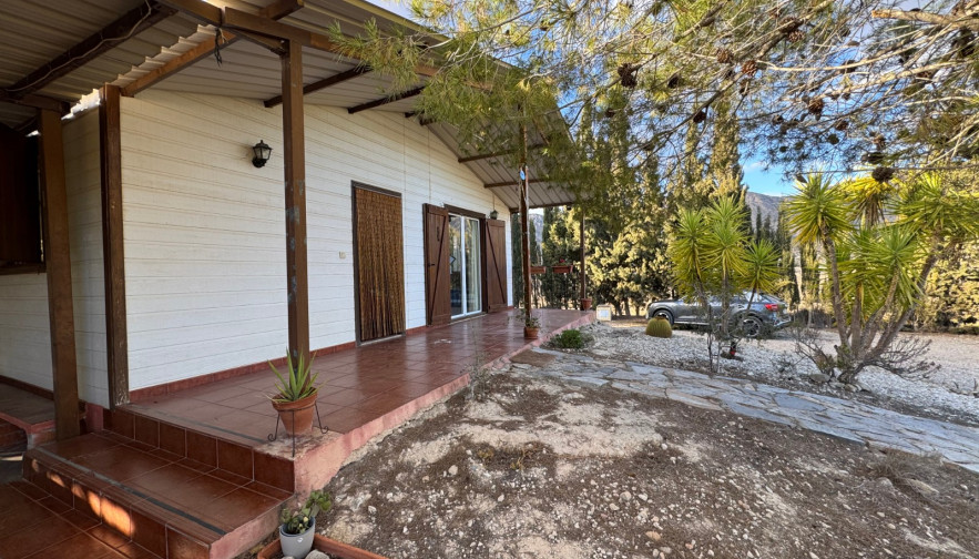 Casa de Campo - Venta - Ricote - Ricote