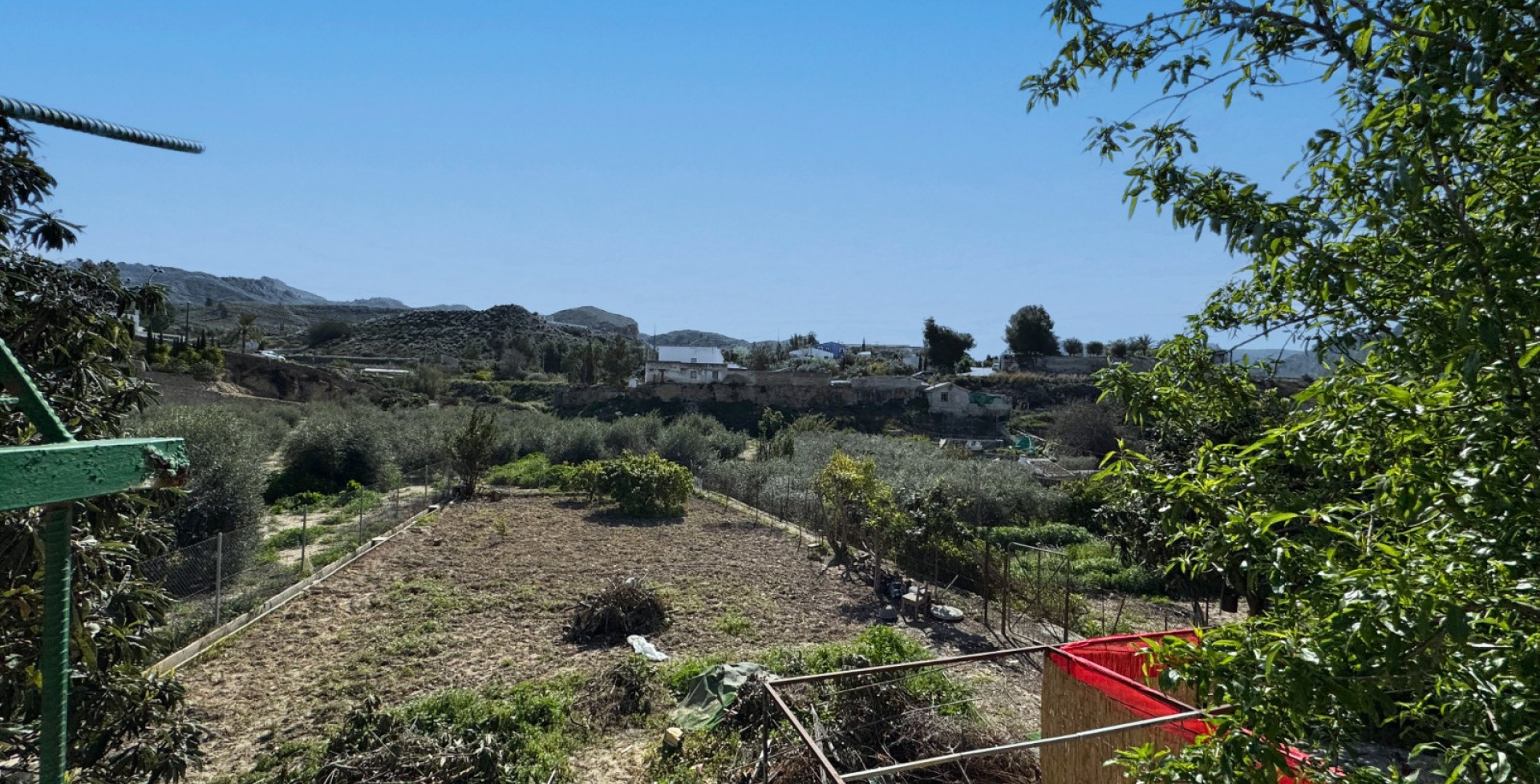 For Sale - Country House - Blanca
