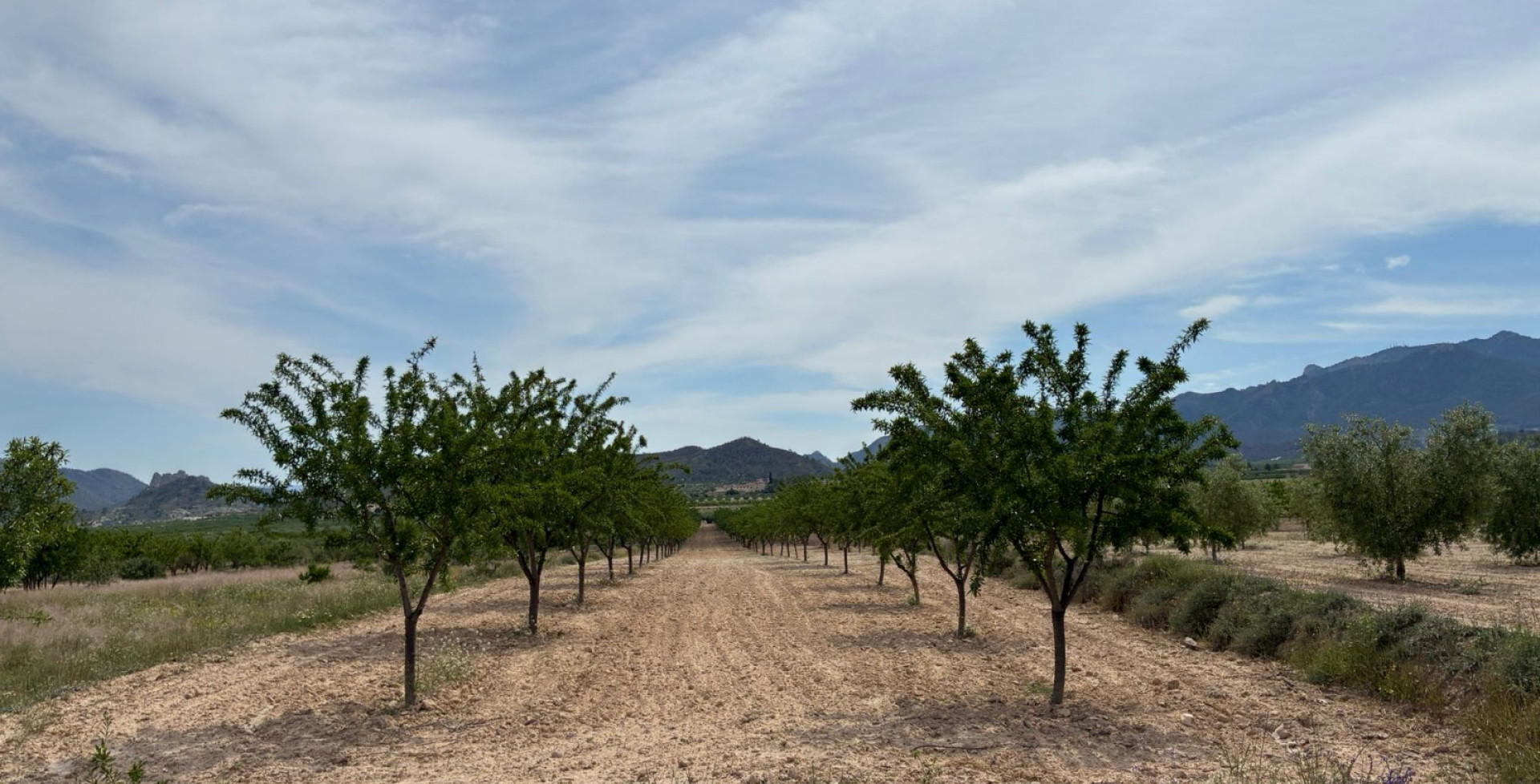 For Sale - Building Plots - Ricote