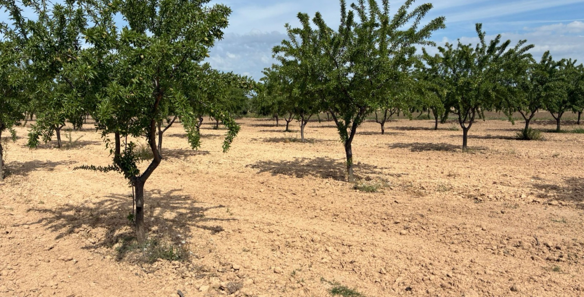 For Sale - Building Plots - Ricote