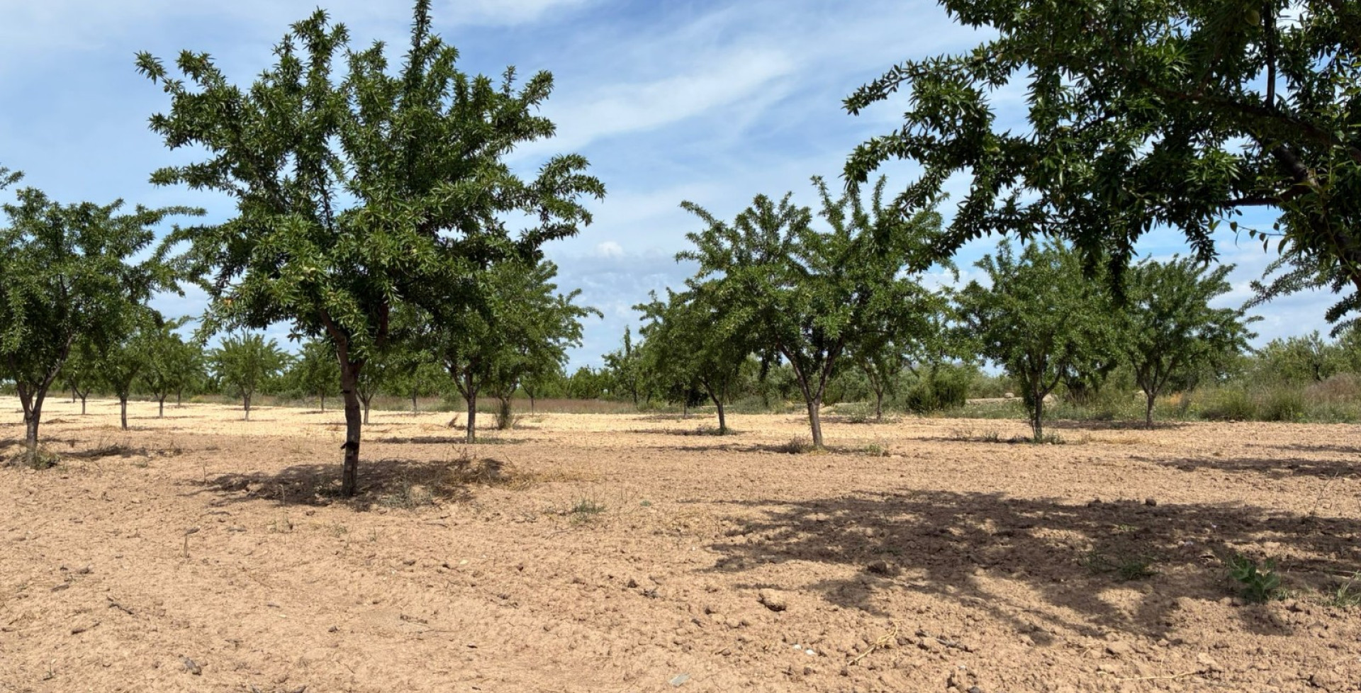 For Sale - Building Plots - Ricote