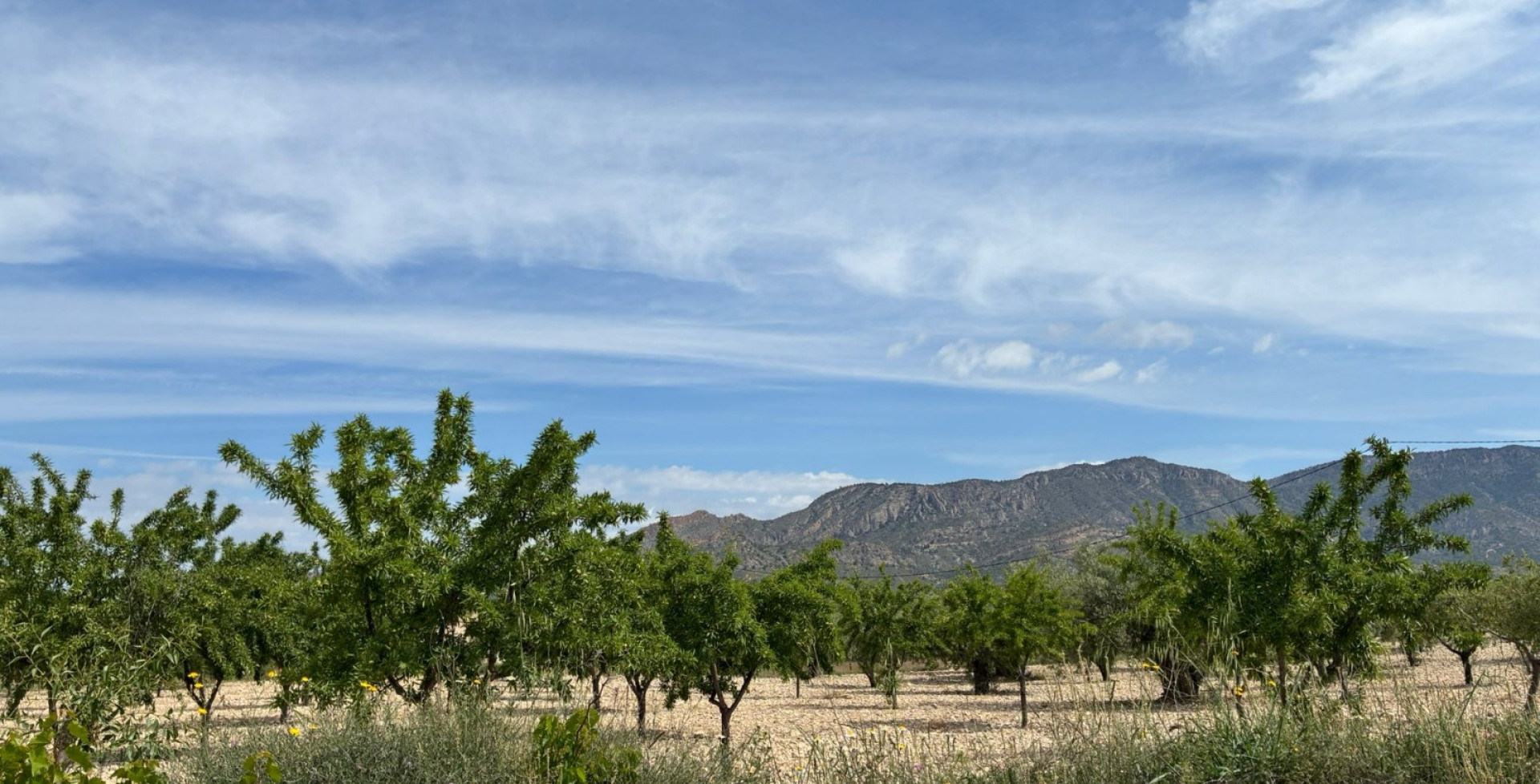 For Sale - Building Plots - Ricote