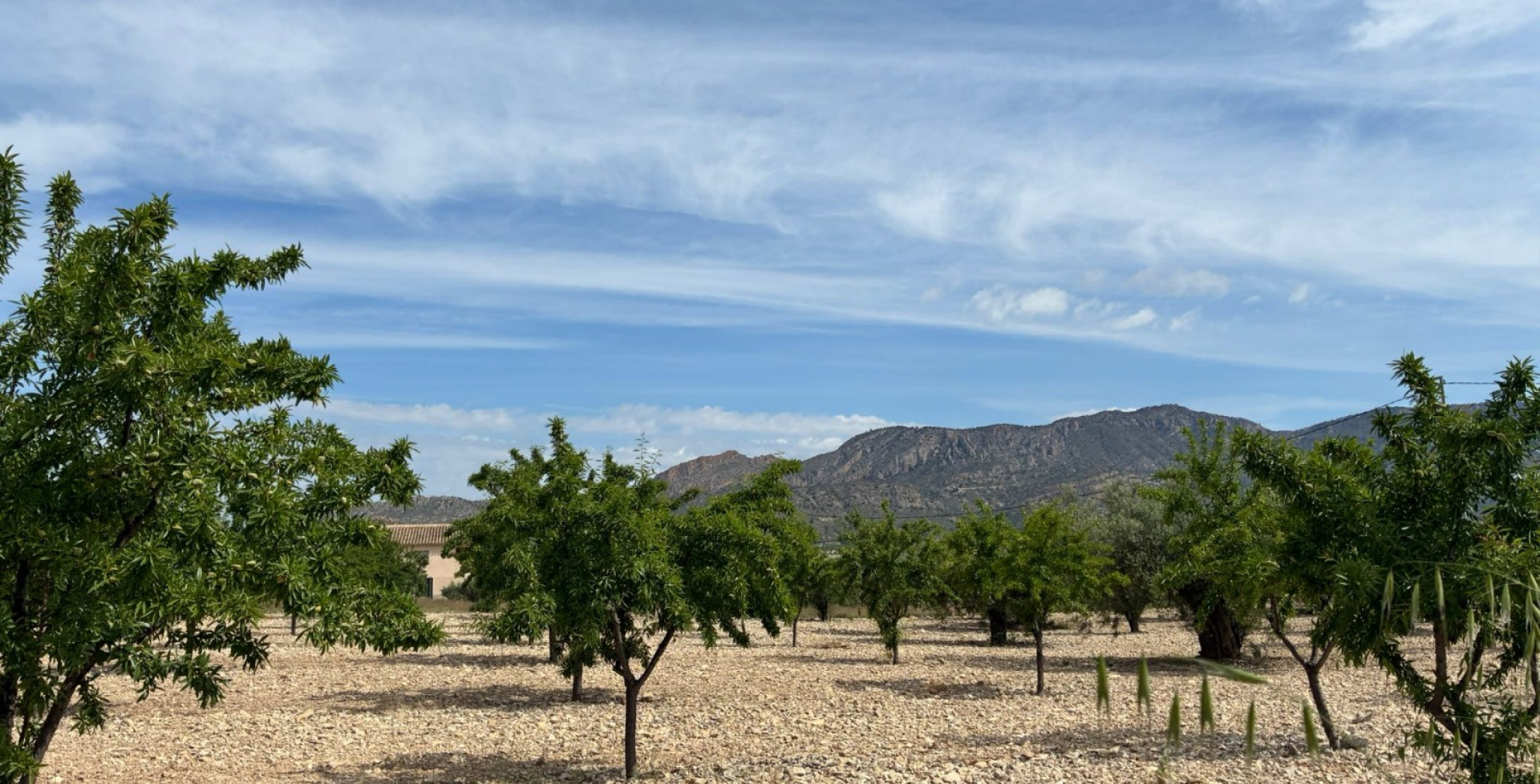 For Sale - Building Plots - Ricote