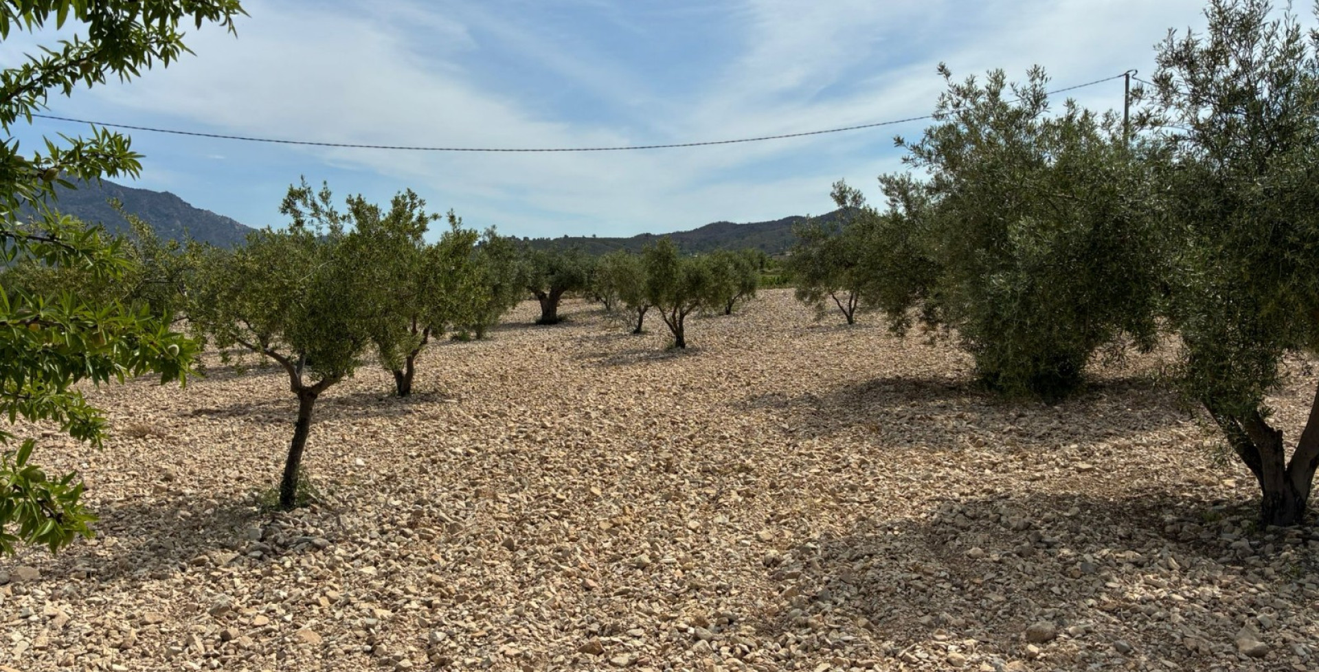 For Sale - Building Plots - Ricote