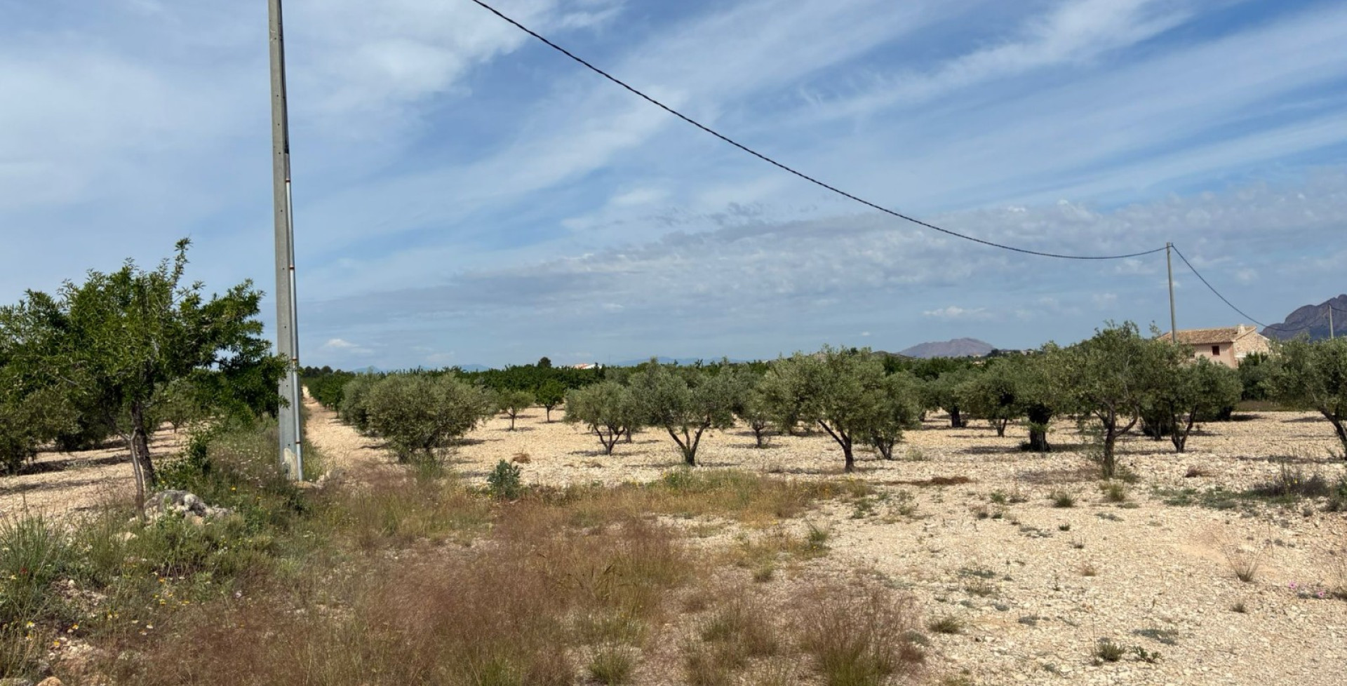 For Sale - Building Plots - Ricote
