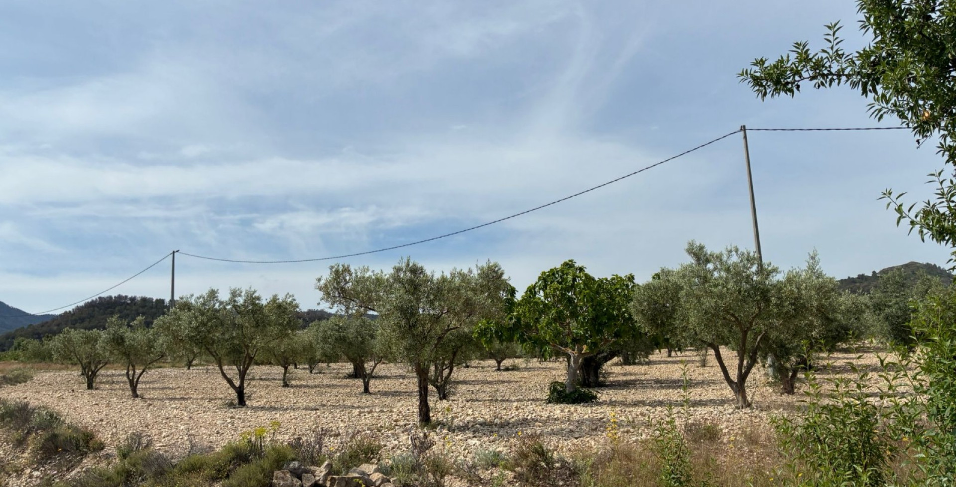 For Sale - Building Plots - Ricote