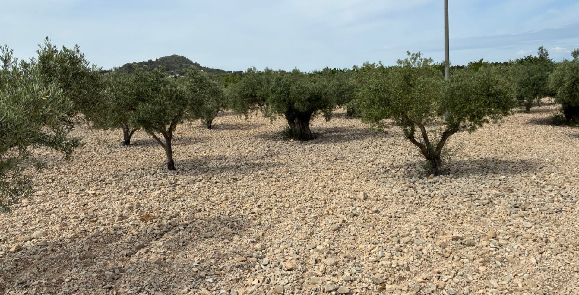 For Sale - Building Plots - Ricote