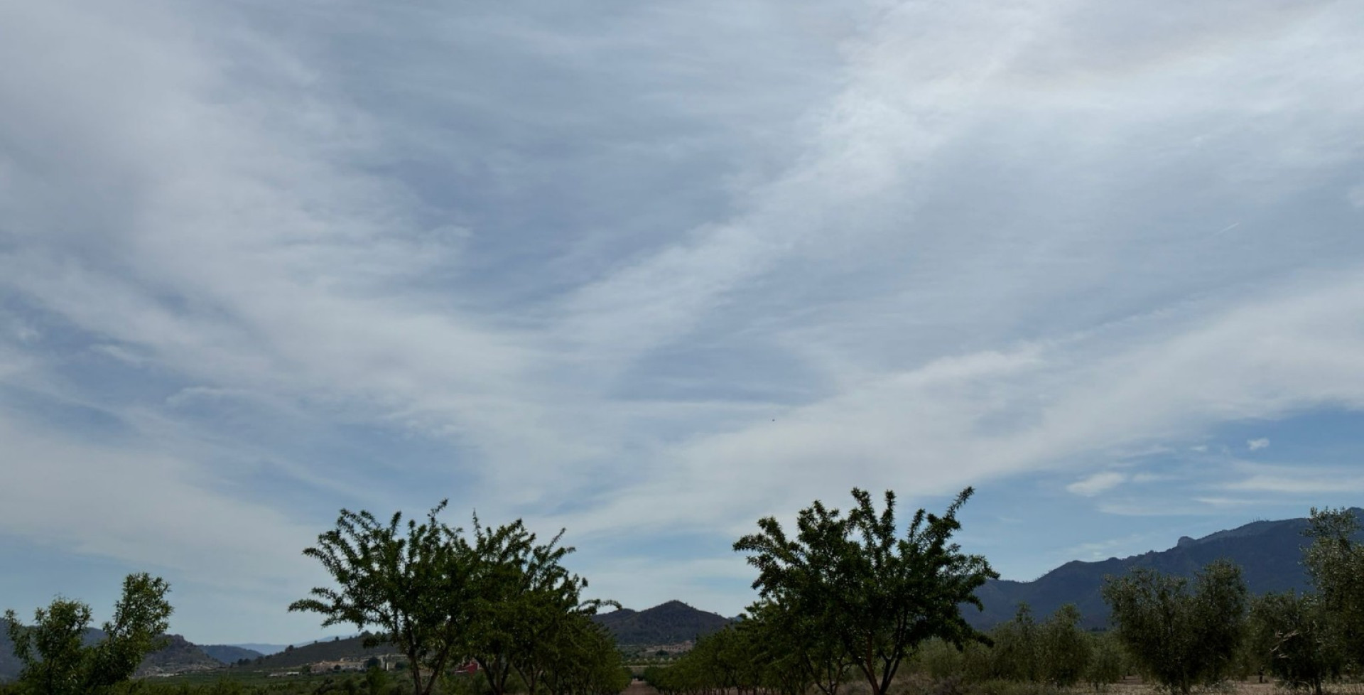For Sale - Building Plots - Ricote