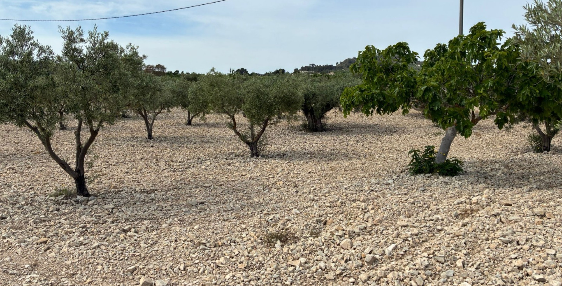 For Sale - Building Plots - Ricote