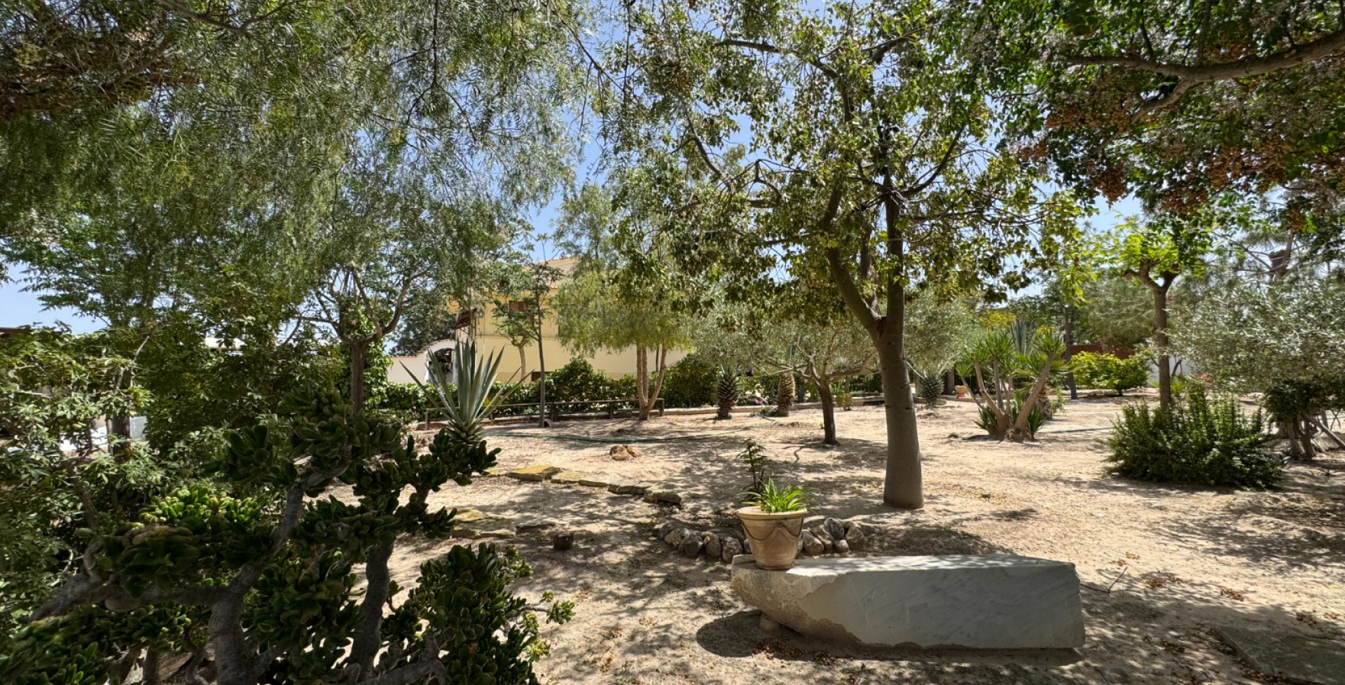 À vendre - Maison de campagne - Molina de Segura