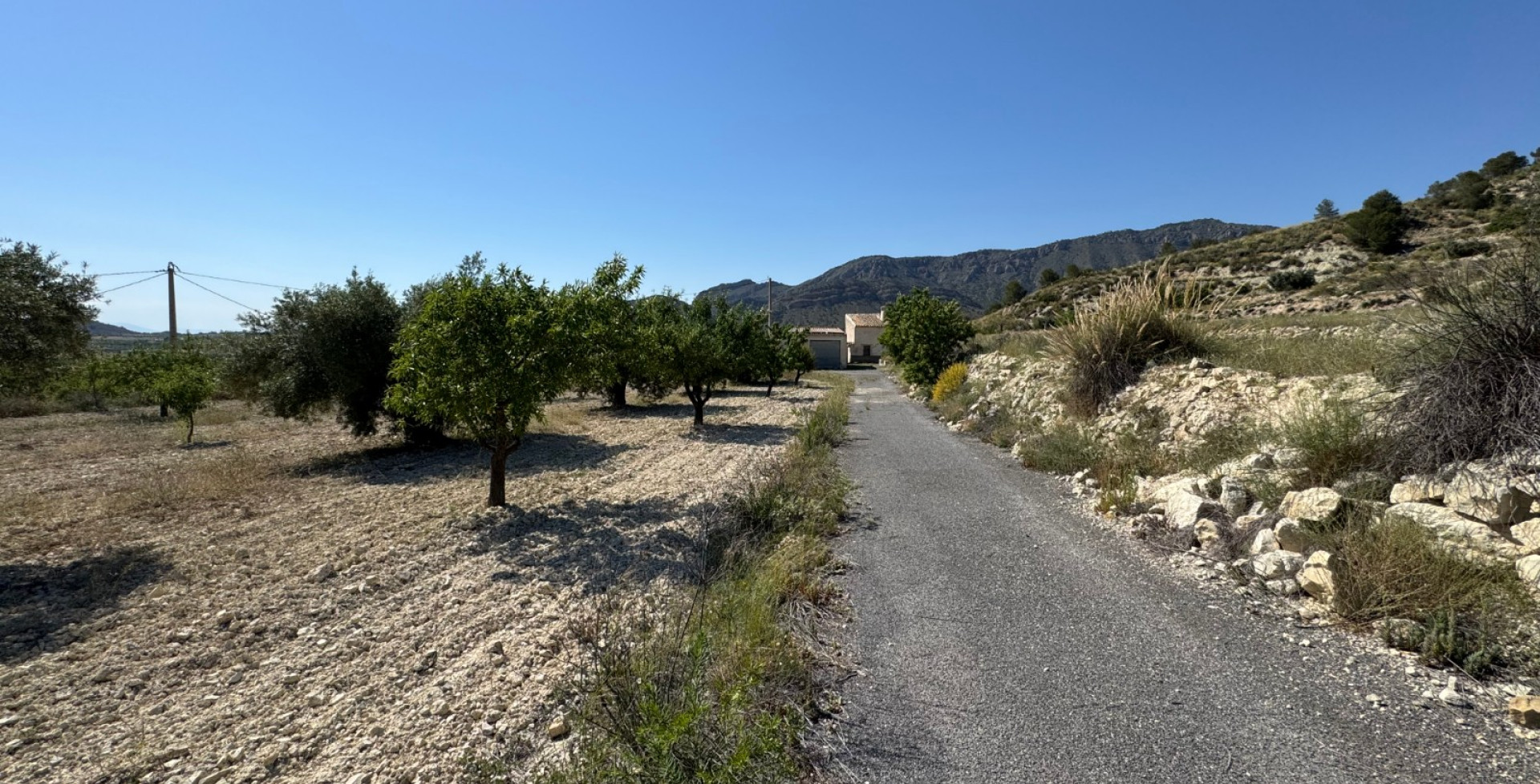 Venta - Casa de Campo - Ricote