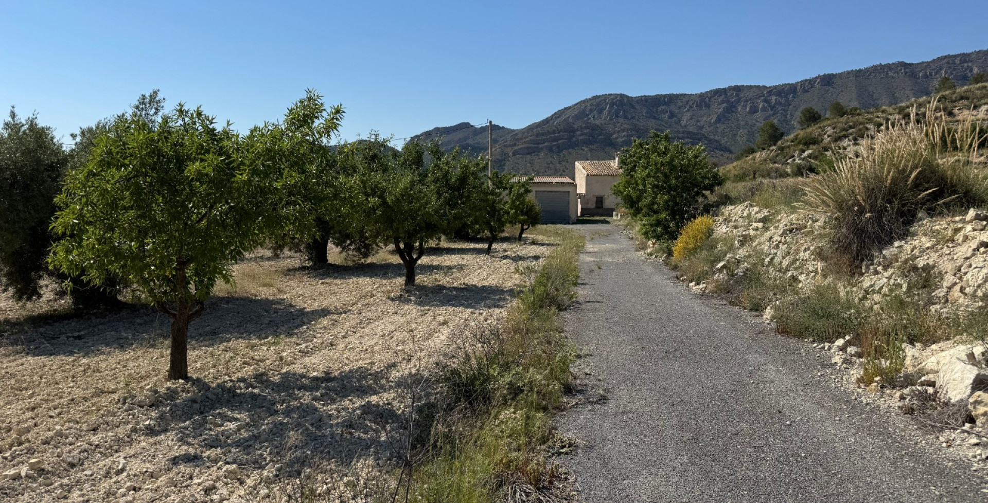 Venta - Casa de Campo - Ricote