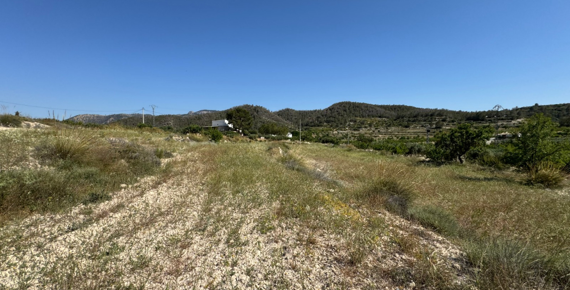 Venta - Casa de Campo - Ricote