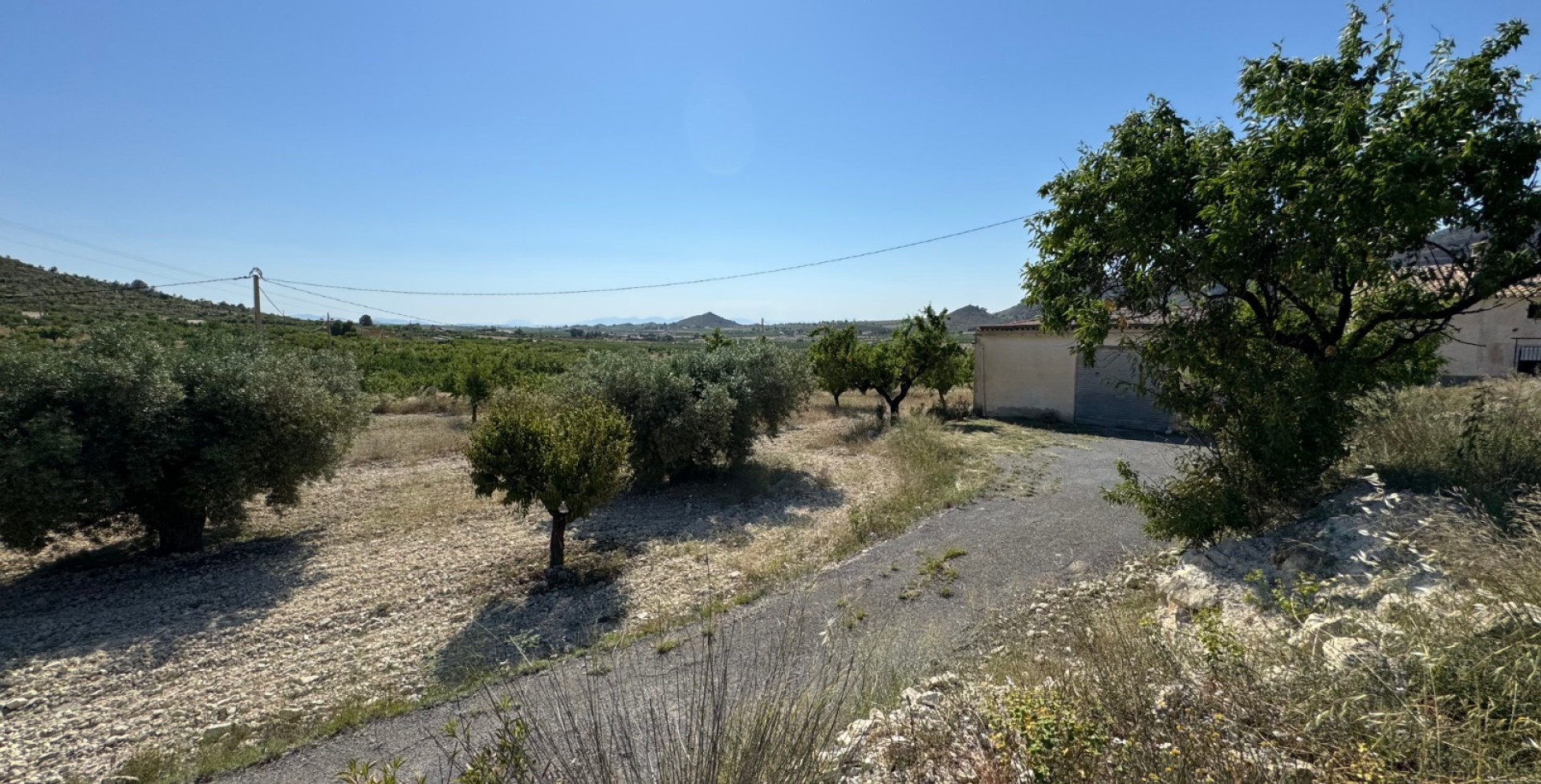 Venta - Casa de Campo - Ricote